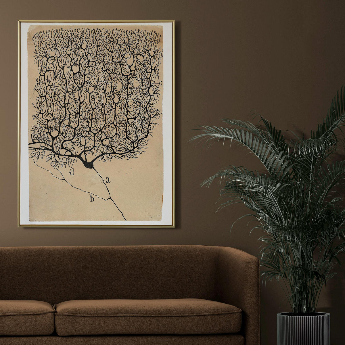 Santiago Ramón y Cajal, neuron art print - vintage science wall art, biology decor, ready to hang canvas, neuroscience p