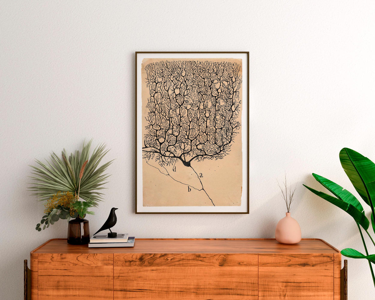 Santiago Ramón y Cajal - Neuron painting, Kitchen decor, Neuron art print, Biology artwork, Ready to hang, Vintage scien