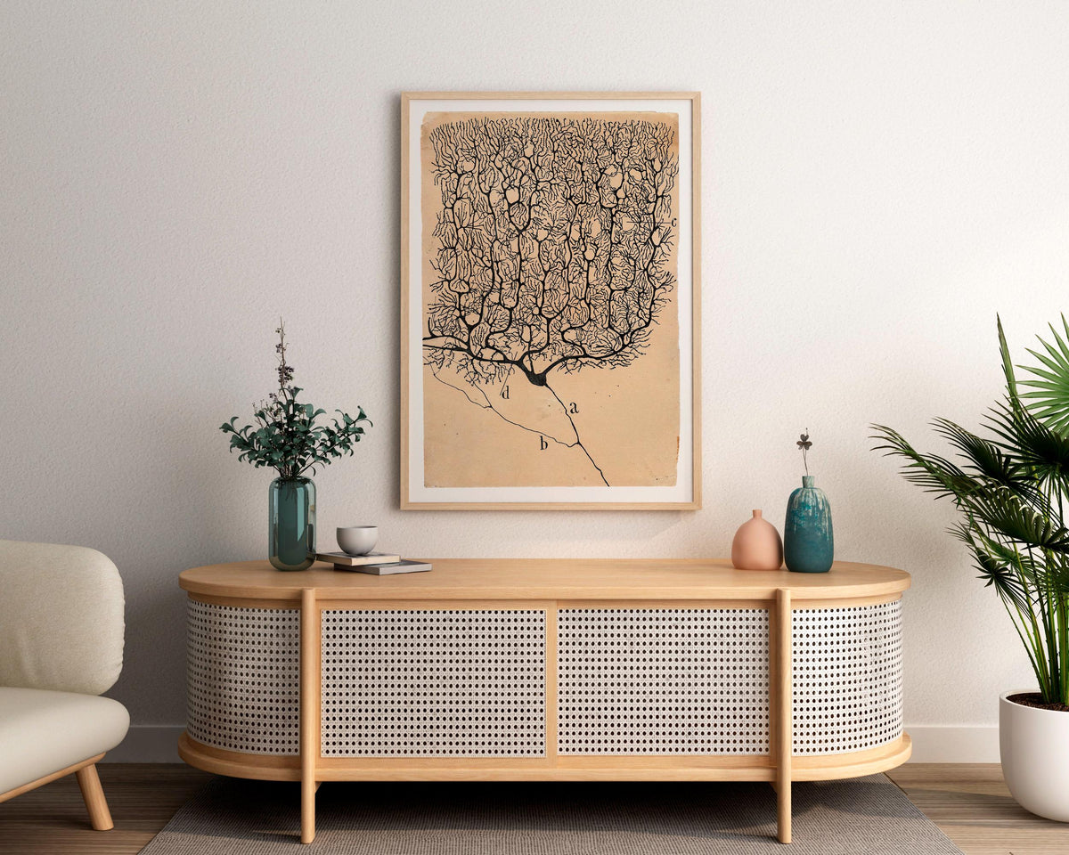 Santiago Ramón y Cajal - Neuron painting, Kitchen decor, Neuron art print, Biology artwork, Ready to hang, Vintage scien