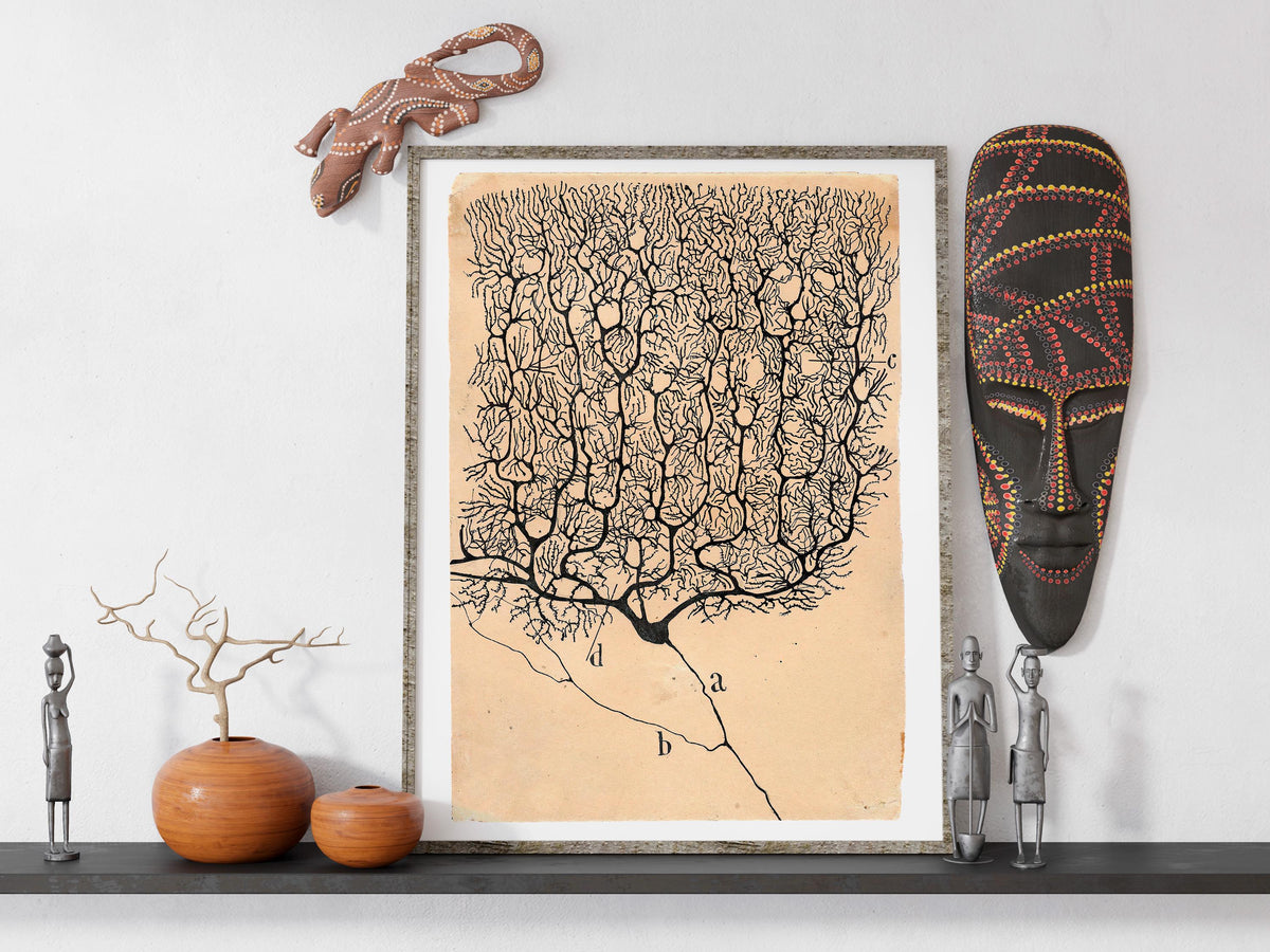 Santiago Ramón y Cajal - Neuron painting, Kitchen decor, Neuron art print, Biology artwork, Ready to hang, Vintage scien