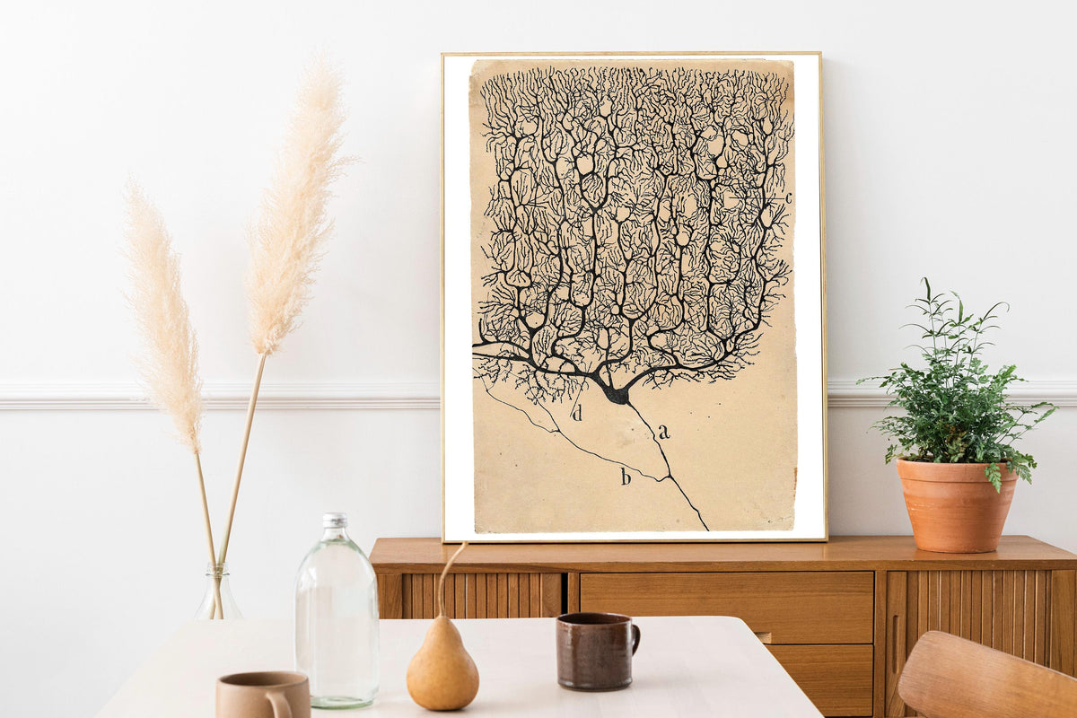 Santiago Ramón y Cajal - Neuron painting, Kitchen decor, Neuron art print, Biology artwork, Ready to hang, Vintage scien
