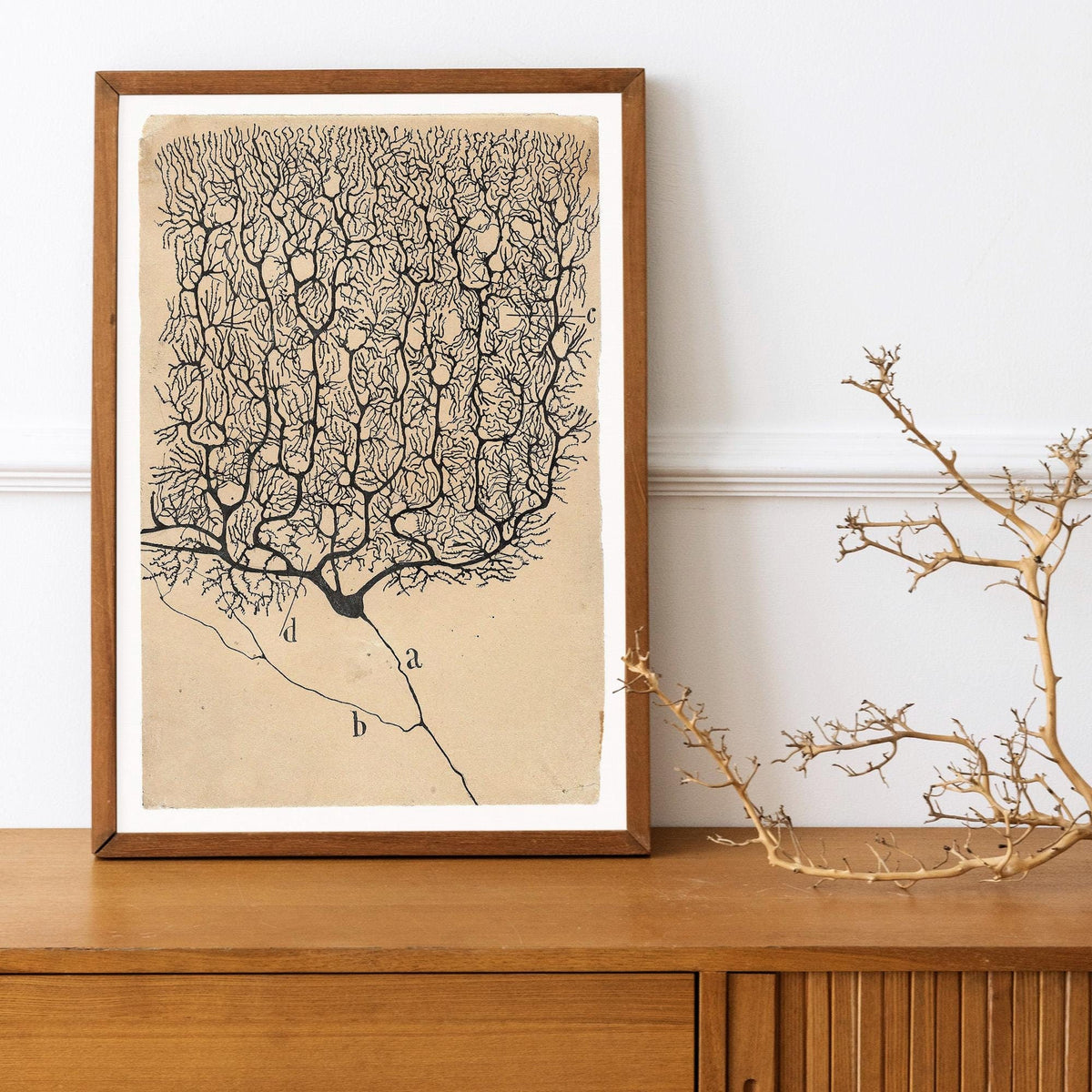 Santiago Ramón y Cajal - Neuron painting, Kitchen decor, Neuron art print, Biology artwork, Ready to hang, Vintage scien