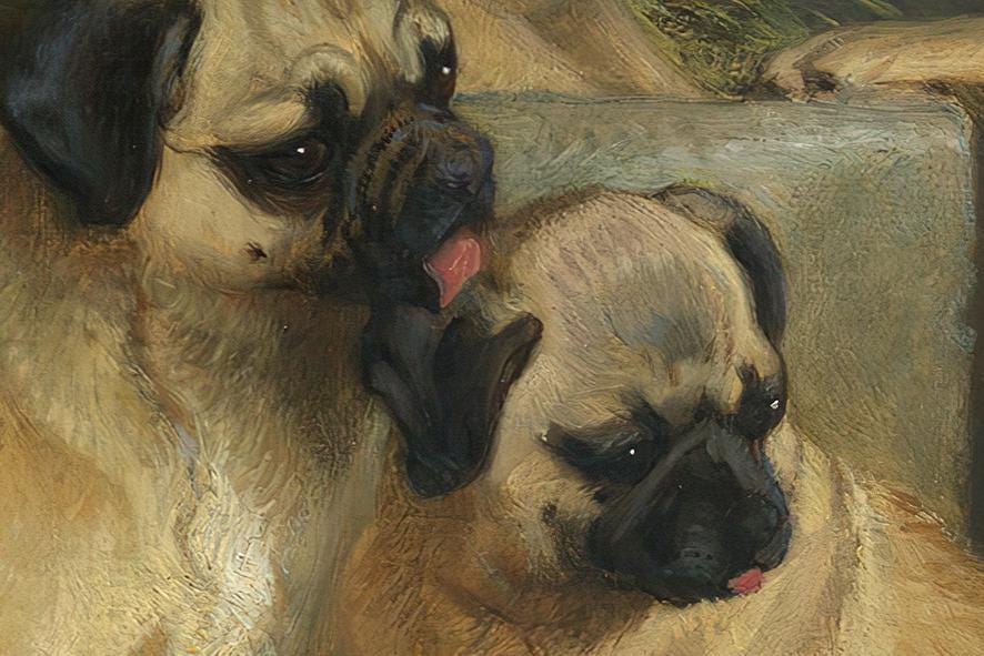 Charles Burton Barber - A Family of Pugs. Canvas painting, Mops wall art, Bedroom decor, Dogs poster print, Reproduction