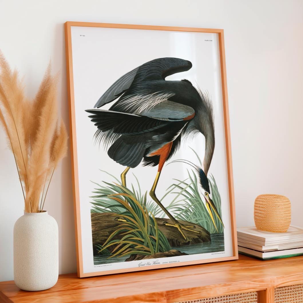John James Audubon, Great Blue Heron (1821) - Birds of America Print, Realistic Bird Illustration, Nature Wall Art, Larg