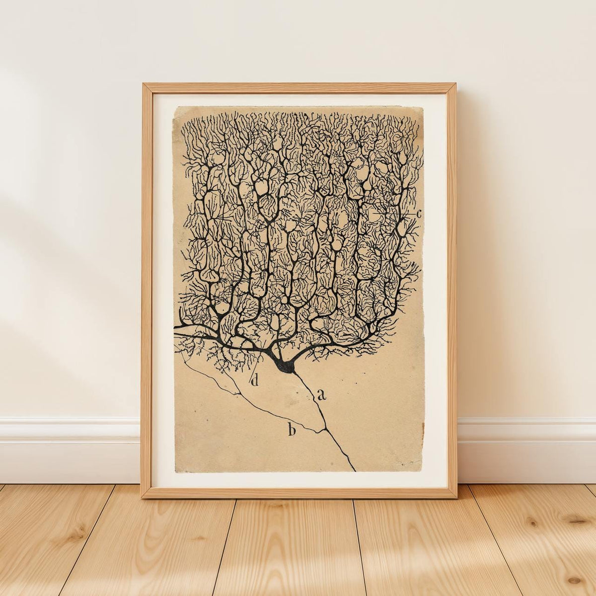 Santiago Ramón y Cajal, neuron art print - vintage science wall art, biology decor, ready to hang canvas, neuroscience p