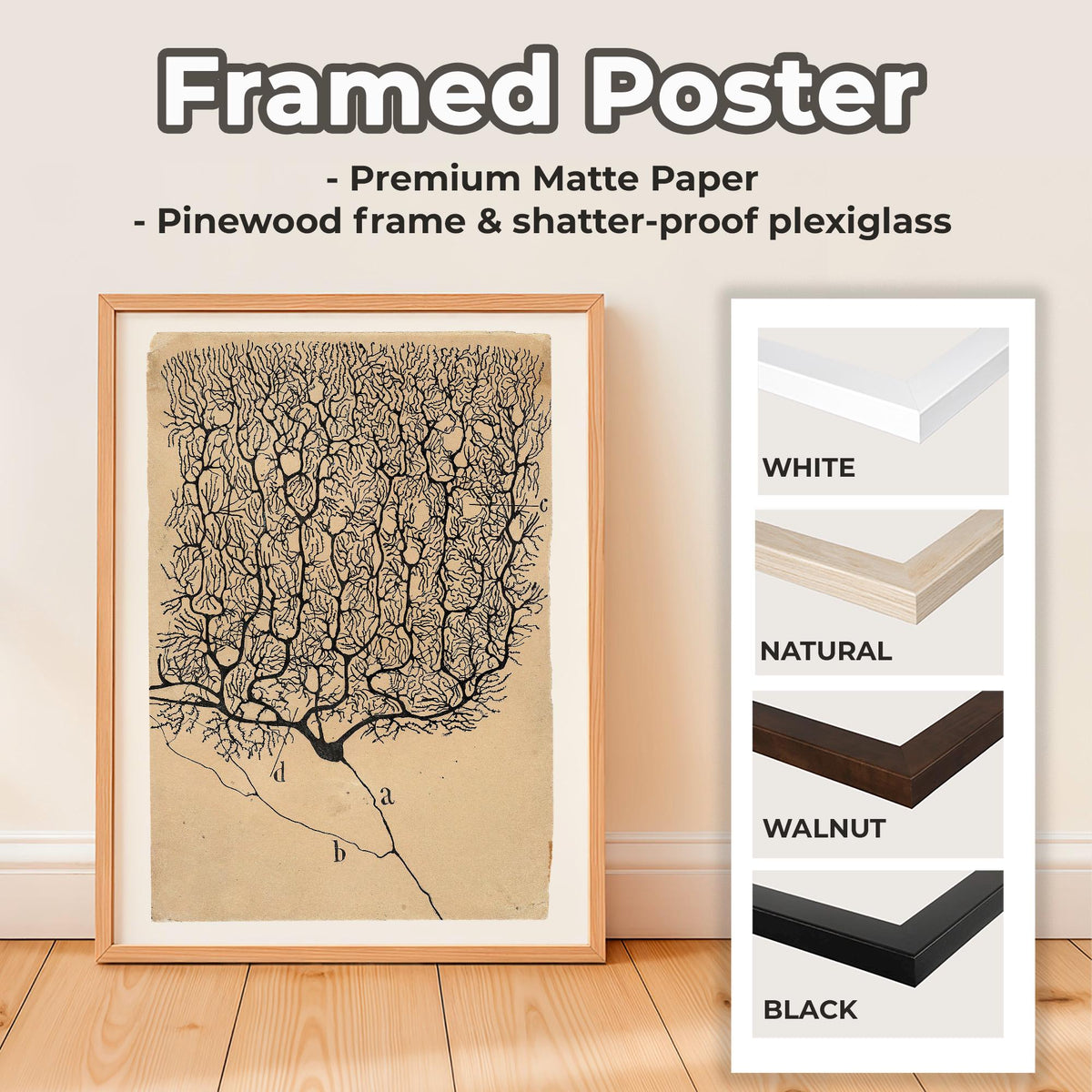 Santiago Ramón y Cajal, neuron art print - vintage science wall art, biology decor, ready to hang canvas, neuroscience p
