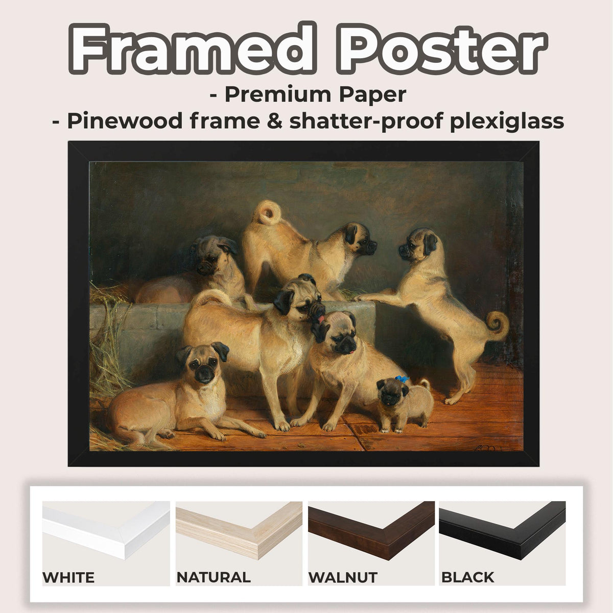 Charles Burton Barber - A Family of Pugs. Canvas painting, Mops wall art, Bedroom decor, Dogs poster print, Reproduction